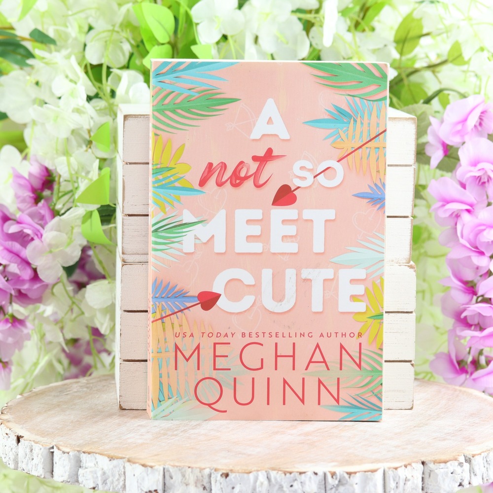 A Not So Meet Cute Meghan Quinn Cane Brothers Series Paperback Romance Book